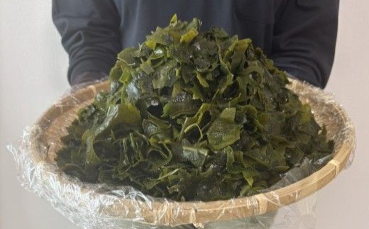 宗像産 乾燥カットわかめ 200g×2袋（計400g）【道の駅むなかた】_HA0447