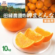 【先行予約】【家庭用】岬まどんな 10kg ※離島への配送不可 （2026年11月25日より順次発送）IKTA034