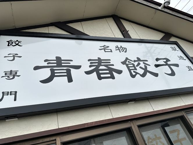 【定期便9ヶ月】餃子専門店青春餃子　豊岡餃子10個入り×3パック 30個（計270個）