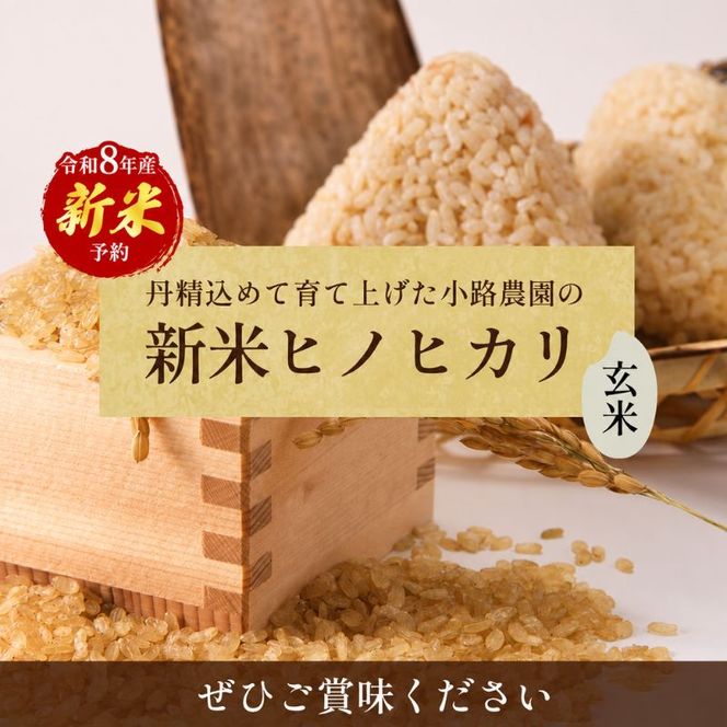令和8年産　新米「ヒノヒカリ」10kg（玄米） お米 10kg 