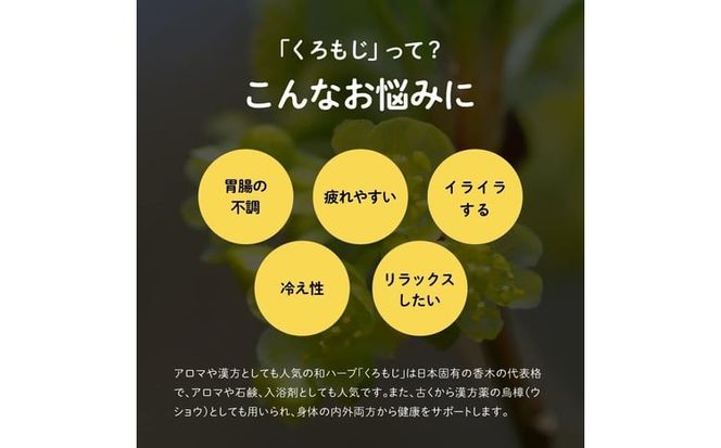 オニまる茶　農薬不使用・無添加のくろもじ緑茶　5袋セット【machi-04】