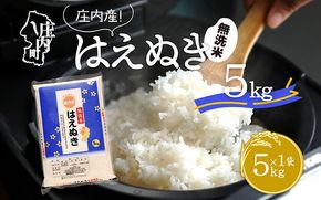 はえぬき 無洗米 5kg 令和6年産 2024年産 ブランド米【1072-007A】