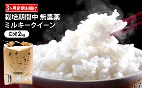定期便 3回 栽培期間中 無農薬 ミルキークイーン 白米 2kg 3ヶ月 定期 お届け