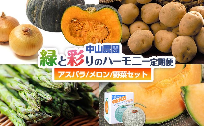 【2026年春発送】中山農園から贈る 緑と彩りのハーモニー定期便(アスパラ/メロン/野菜セット) アスパラガス アスパラ メロン フルーツ いも じゃがいも 玉ねぎ たまねぎ かぼちゃ 南瓜 新鮮 野菜 産地直送 果物 甘い 贈り物 ギフト 道産 数量限定 北海道 富良野市