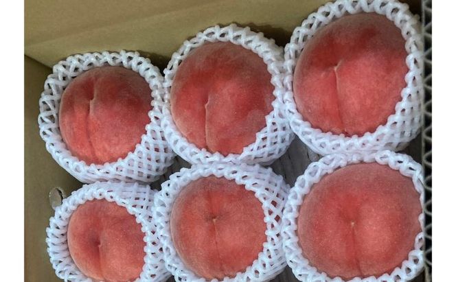 桃 先行予約 川中島白桃 秀品 約 3kg (6～11玉) フルーツ 果物 夏 旬 2026年 8月発送