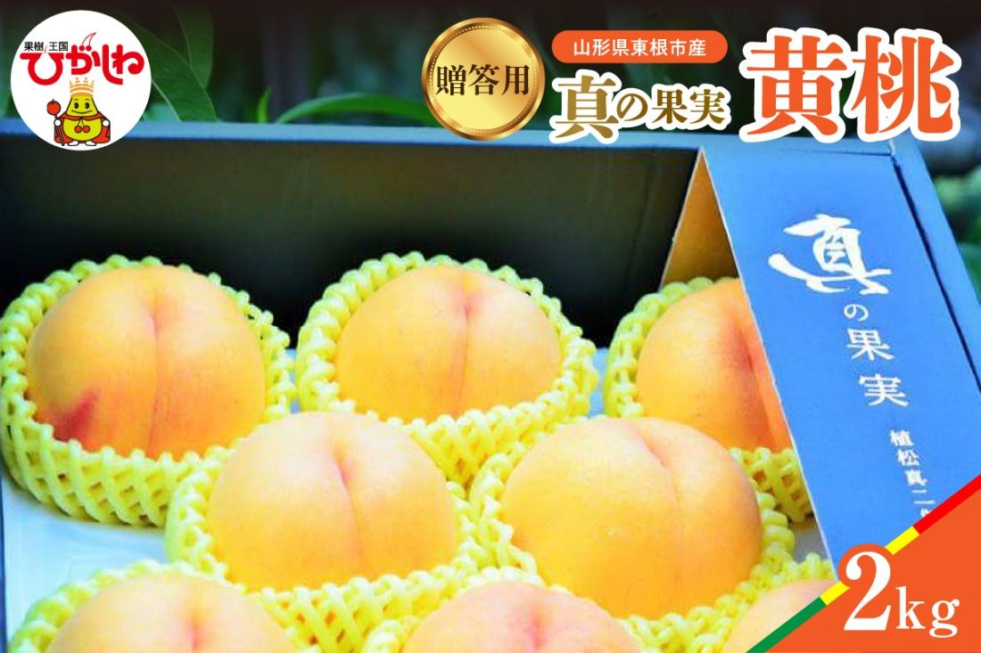 [2025年産 先行予約]真の果実 贈答用 黄桃2kg 山形県 東根市 hi004-hi062-025-2