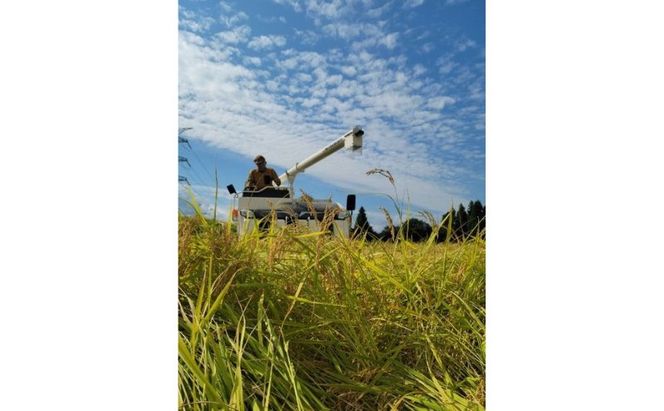 魚沼産コシヒカリ「馬舞」定期便 白米5kg×3ヶ月 お米 おこめ こめ 精米 こしひかり お楽しみ 新潟 