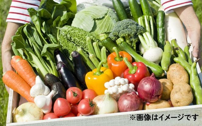 【12回定期便】野菜のプロが選ぶ 旬の野菜セット 12〜13品目 野菜定期便 / 野菜 やさい セット 新鮮 / 南島原市 / 愛2農園[SGG001]
