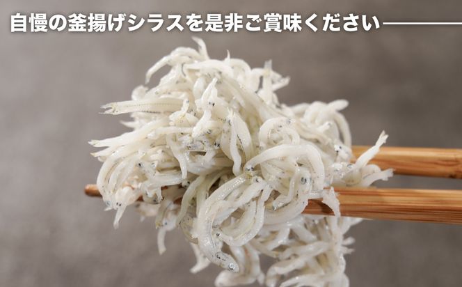 淡路島シラスの釜揚げ 100ｇ8袋入り（800ｇ）