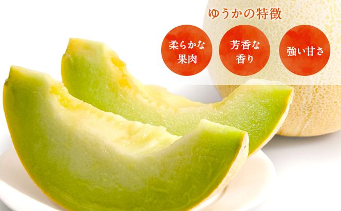 【先行予約2026年産】長谷川さんが作ったメロン2個（ゆうか・タカミ）　7月～8月発送　青森県鰺ヶ沢町産 2玉 果物類 フルーツ メロン青肉 