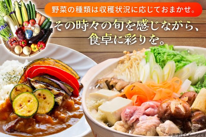 AJ313 野菜セット 5〜7品目 しそジュース付き [ 野菜 詰め合わせ 少人数用 一人暮らし 二人暮らし シソジュース 紫蘇ジュース 長崎県 島原市 ]