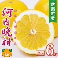 【先行予約】 数量限定  河内晩柑 樹齢 30年以上 大玉 6kg （ 2Lサイズ 以上 ） 8000円 みかん mikan 蜜柑 ミカン かわちばんかん 愛南ゴールド あいなん ゴールド 文旦 派生 和製 グレープフルーツ 産地直送 国産 農家直送 期間限定 特産品 ゼリー ジュース アイス 等に 人気 限定 甘い さわやか フルーツ 果物 柑橘 蜜柑 みかんの山祥 愛南町 愛媛県