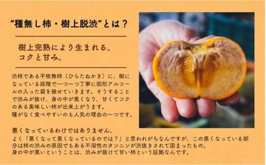 ◆2026年秋発送◆＜ 種無し柿（樹上脱渋）・約5kg ＞ ※2026年10月下旬～11月下旬頃に順次発送予定