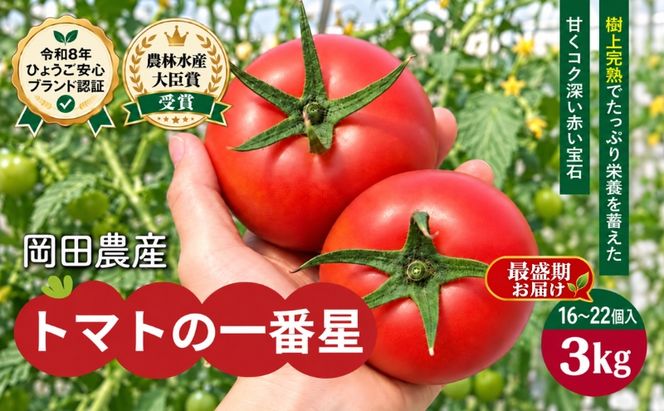 【最盛期お届け】トマト 3kg トマトの一番星 野菜 とまと 完熟 高糖度 甘い 受賞 冷蔵配送