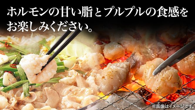 【茨城県産】 黒毛和牛 もつ鍋 焼肉用 小腸 1.2kg（200g×6パック） (茨城県共通返礼品) 国産 牛肉 肉 お肉 ホルモン もつ 焼肉