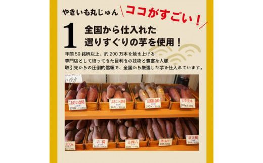 【全6回】毎月1種類ずつ届く 冷やし焼き芋定期便 約1kg×6回（計3種） 【ジャパンフードセレクション 金賞】 芋スイーツ H047-065