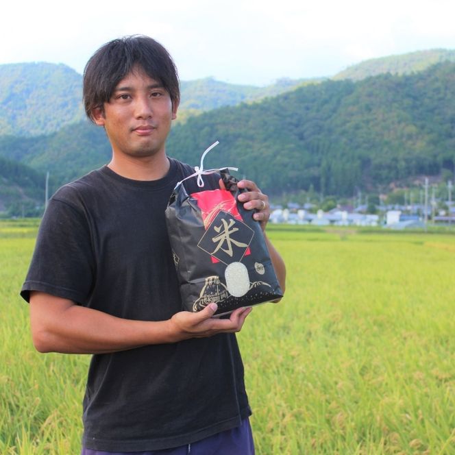 令和6年産 キヌヒカリ 10kg (5kg×2袋) 米 白米 精米 お米 こめ コメ きぬひかり 令和6年 ご飯 ごはん 京都 京都府 南丹市