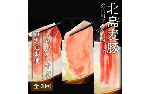 【定期便全3回】豚 しゃぶしゃぶ 合計2.4kg 食べ比べセット_Y049-0062