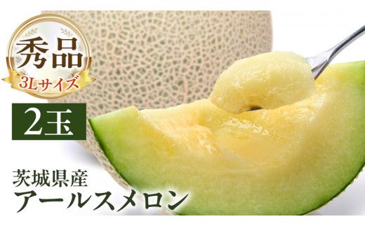 【 先行予約 】茨城県産 アールスメロン 秀品 3L サイズ × 2玉 入り 【 2026年8月下旬から発送 】 おすすめ JA全農いばらき JA メロン めろん ふるさと納税 フルーツ 予約 マスクメロン くだもの 果物 国産旬 定番 旬 期間限定 青肉 果物