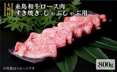 美味しさ 満載 ！ 贅沢お 肉 セット の 定期便 全5回 （月1回） 4人 家族用 【福岡 糸島産 牛肉 豚肉 鶏肉 ステーキ しゃぶしゃぶ すき焼き ヒレ シャトーブリアン ロース】 《糸島》 【糸島ミートデリ工房】 [ACA083]