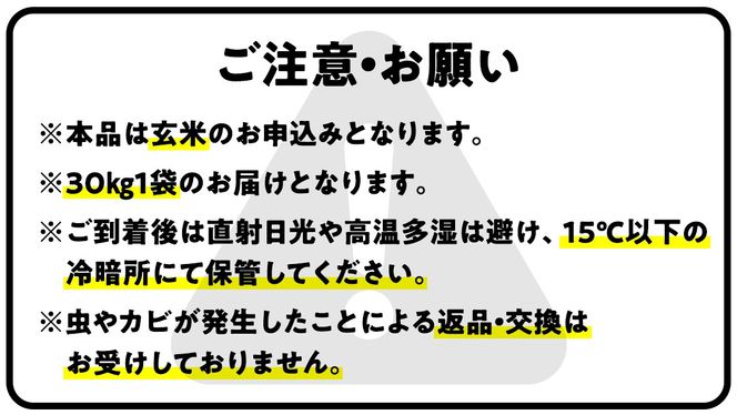 【最短2営業日出荷】 コシヒカリ 玄米 30kg 茨城県 つくばみらい市産スピード発送 お米 米 おこめ こめ コメ 30キロ こしひかり 令和7年産 大容量 玄米食 低GI