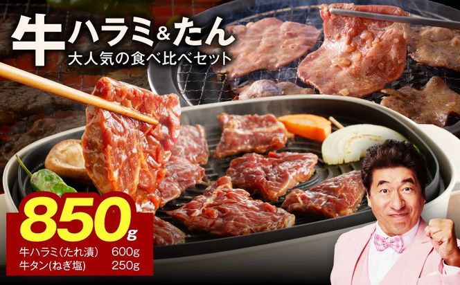 010B1882 【大人気の食べ比べ】牛ハラミ600g＆牛たん250ｇ 【ハラミ 牛タン 小分け 牛肉 焼肉セット BBQ 訳あり サイズ不揃い】