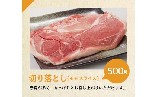 【6ヶ月定期便】宮崎県産豚肉バラエティ4種セット2.5kg【 肉 豚 豚肉 ロース バラ 切り落とし 】[D07502t6]