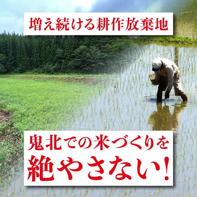 【R7年産新米】愛媛県産 コシヒカリ 5kg ｜ ご飯 白米 お米 令和7年産 5kg 10kg 20kg 精米済み ※2025年10月上旬～12月下旬頃に順次発送予定 ※離島への配送不可