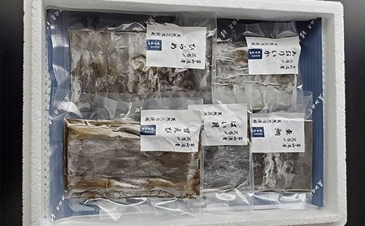 究極の昆布〆、2段5種盛（急速冷凍品）魚卸問屋はりたや 富山県魚津市 昆布締め こぶじめ 刺身 天然昆布 ※北海道・沖縄・離島への配送不可