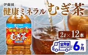 健康ミネラル むぎ茶2L×6本×2ケースPET [6ケ月定期便] （麦茶）[D07359t6]