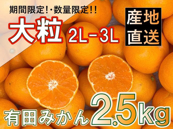 ya̎RLc쒬zmst2025Nna̎RY Lc݂ 嗱TCY 2.5kg  BA42
