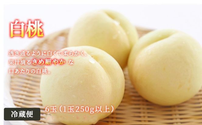 フルーツ 2026年 先行予約 晴れの国 岡山 の フルーツ 定期便 3回コース 桃 ぶどう 梨 岡山県産 国産 フルーツ 果物 ギフト マスカット もも モモ なし お楽しみ