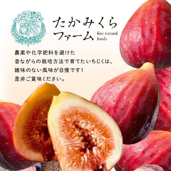 期間限定【農園のめぐみ】甘味が凝縮いちじく750g×1《 数量限定 限定 果物 くだもの フルーツ いちじく 無花果 送料無料 》【2500C08201】