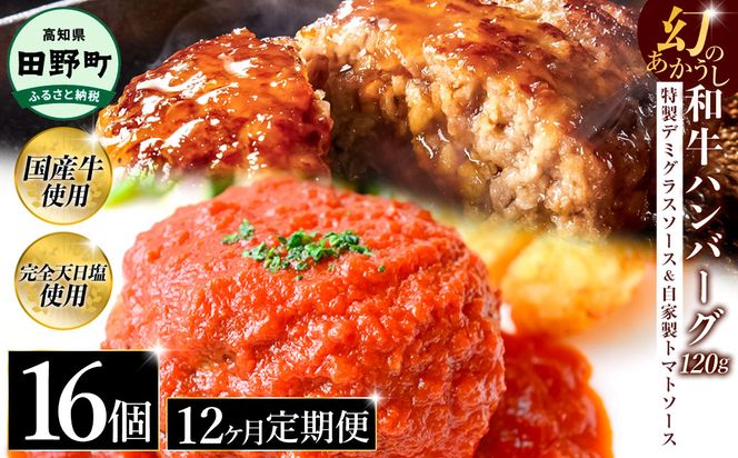 幻のあかうし和牛ハンバーグ 16個入り 12ヶ月定期便 1個120g 特製デミソース トマトソース付き 田野屋青蜂 白鯆 完全天日塩練り込み 肉 お肉 国産牛 おかず おいしい お取り寄せ 冷凍 配送 高知県 田野町
