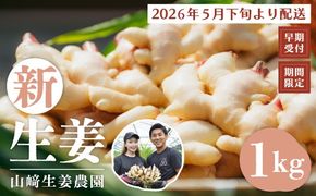 早期受付 期間限定 みずみずしさがたまらない 新生姜 約1kg【2026年5月下旬～9月上旬配送】高知県 高知 四万十市 四万十 しまんと 農作物 特産 しょうが 生姜 ショウガ 野菜 旬 新鮮 国産 先行 予約 ジンジャー 25-746