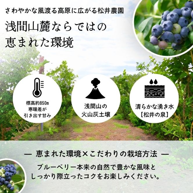 ブルーベリー【冷凍ブルーベリー（Mサイズ）１kg　贈答品】冷凍 完熟 果物 トッピング ヨーグルト 信州 長野
