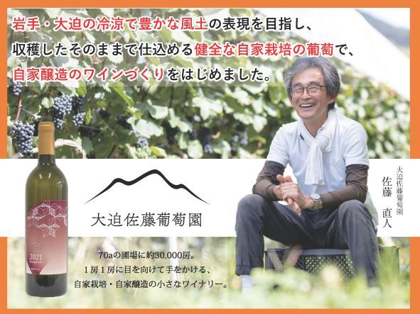 大迫佐藤葡萄園　ワイン4本セット（ツヴァイゲルト赤・ロゼ、メルロー、ソーヴィニヨンブラン） 【2439】