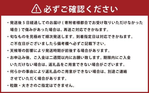 あまおう 約570g 約285g×2パック いちごファームきらら 冷蔵【ふくおかエコ農産物認証】【2026年2月上旬-3月下旬発送予定】