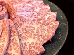 近江牛 ロース焼肉用【450g】【A4A5等級 】 未経産雌限定【FO67U】