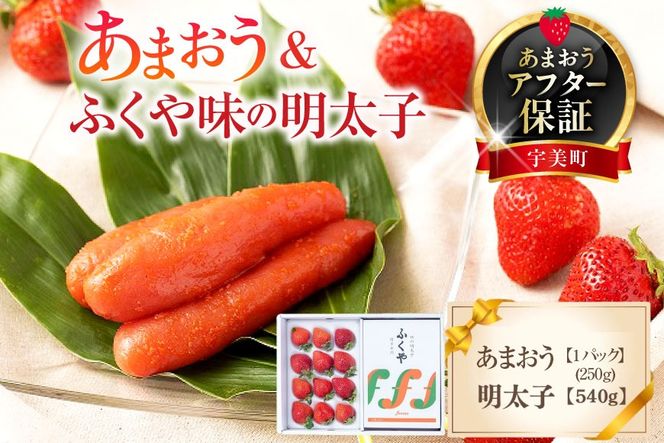 いちご 明太子 セット 福岡産あまおう 1パック 250g ふくや 味の明太子 540g 【期間限定発送】 [南国フルーツ 福岡県 宇美町 um40azo970038] あまおう 詰め合わせ 先行予約 イチゴ 苺 フルーツ 果物 果実 甘い あまい 1パック ふくや 辛子明太子 めんたいこ