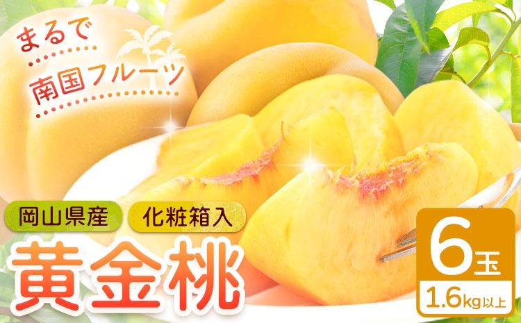 [2026年先行予約]桃 岡山県産 黄金桃 6玉 1.6kg以上 株式会社山博[2026年8月下旬-9月中旬頃出荷]もも フルーツ 化粧箱入り 岡山県 笠岡市 送料無料---Y-39---