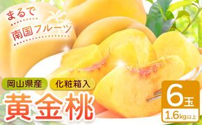 【2026年先行予約】桃 岡山県産 黄金桃 6玉 1.6kg以上 株式会社山博《2026年8月下旬-9月中旬頃出荷》もも フルーツ 化粧箱入り 岡山県 笠岡市 送料無料---Y-39---