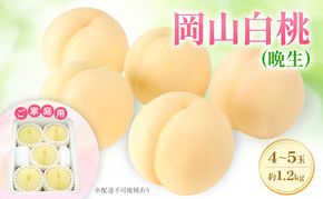 もも 2026年 先行予約 【ご家庭用】 岡山白桃 エース (晩生) 4～5玉 約1.2kg  (8月中旬～8月下旬出荷予定)