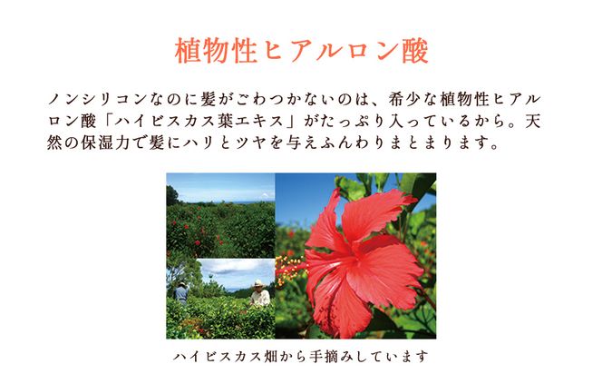 塩とハイビスカス「リュウミネシャンプー」×1本