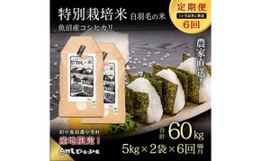 【通年受付】≪令和8年産≫【定期便／1ヶ月おき全6回】農家直送！魚沼産コシヒカリ特別栽培「白羽毛の米」精米(5kg×2袋)×6回 60kg お米 白米 ご飯