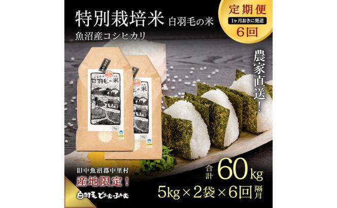 【通年受付】≪令和8年産≫【定期便／1ヶ月おき全6回】農家直送！魚沼産コシヒカリ特別栽培「白羽毛の米」精米(5kg×2袋)×6回 60kg お米 白米 ご飯