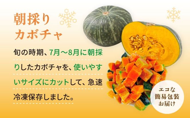 カボチャ 1kg 冷凍 カット済み 旬の時期に急速冷凍 【福岡県糸島産】 糸島市 / オーガニックナガミツファーム 野菜 南瓜 かぼちゃ[AGE051]