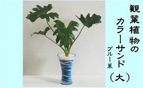 カラーサンド（ガラス花器：大）ブルー系 植物 インテリア 飾り 緑 グリーン 部屋 玄関 グリーンインテリア アート感覚 寄せ植え 1点もの 