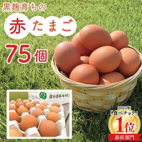 ＼大容量／黒麹育ちの赤たまご75個 |栃木県 益子町 ふるさと納税 たまご 卵 タマゴ 赤たまご 人気 濃厚 食べチョク (BC008)