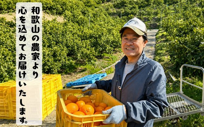 有田育ちの爽快セミノールオレンジ(ご家庭用)　約10kg+200g(補償分)【2027年4月上旬～5月下旬頃に順次発送予定】【ard027B】